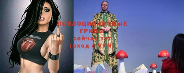 дживик Балахна